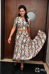 Nikki Galrani at Krishnastami Movie Success Meet